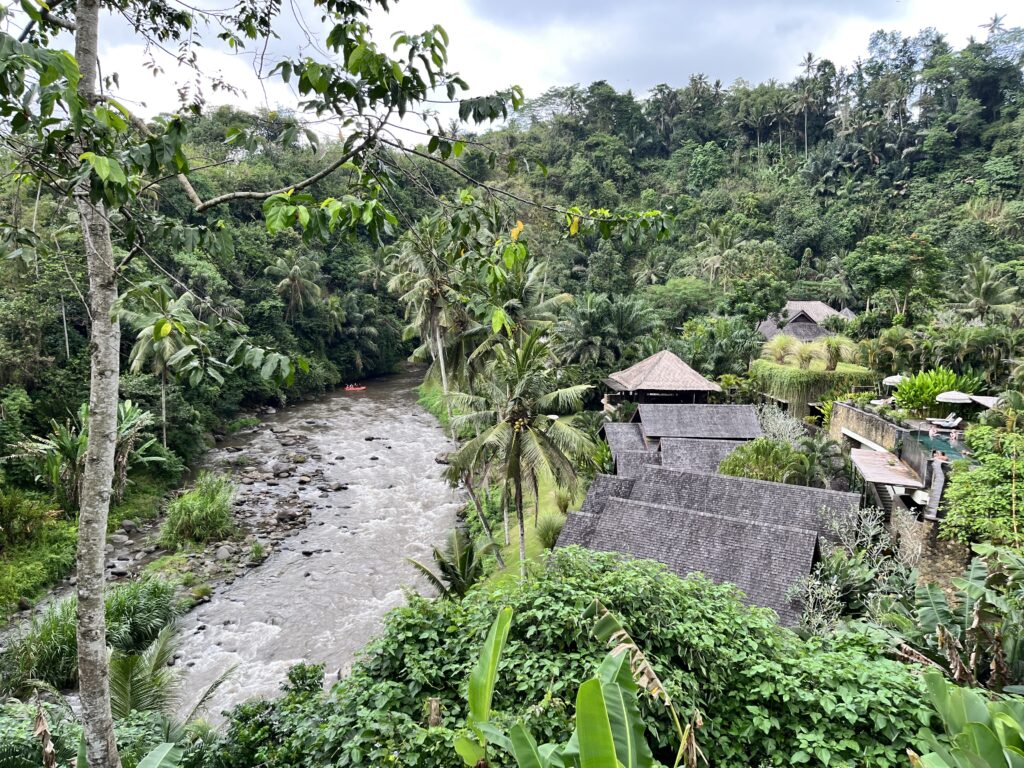 マンダパ・リッツ・カールトン・リザーブ　Mandapa, a Ritz-Carlton Reserve　プールからアユン川、スパ