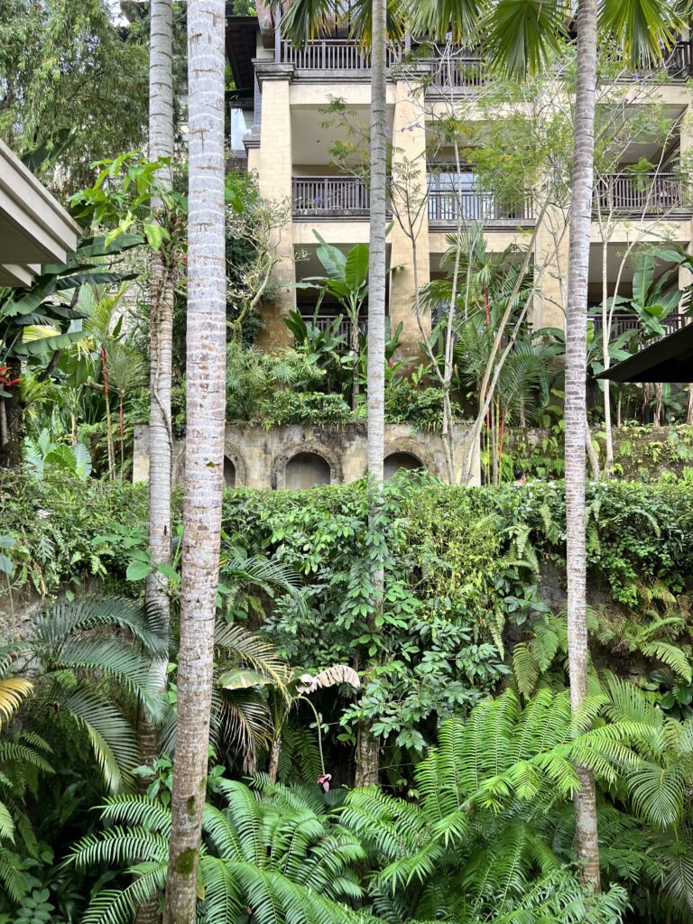 マンダパ・リッツ・カールトン・リザーブ　Mandapa, a Ritz-Carlton Reserve　建物外観