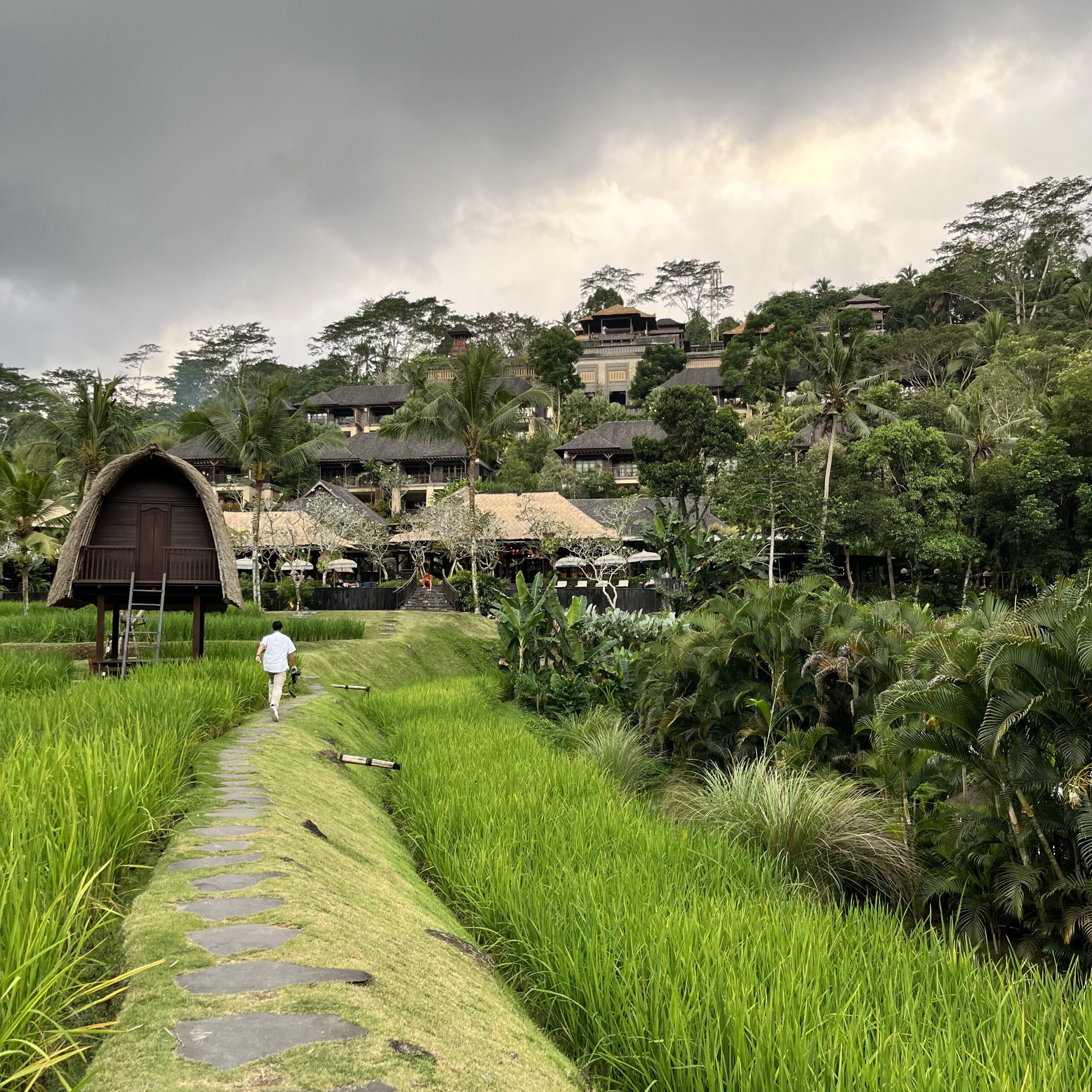 マンダパ・リッツ・カールトン・リザーブ　Mandapa, a Ritz-Carlton Reserve　ライステラス