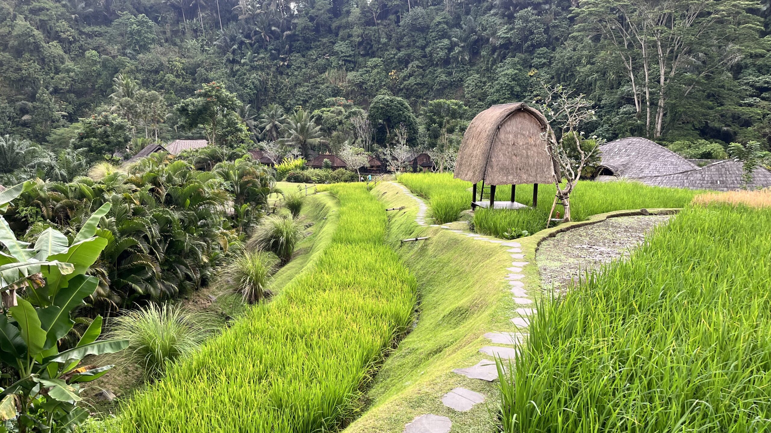 マンダパ・リッツ・カールトン・リザーブ　Mandapa, a Ritz-Carlton Reserve　ライステラス